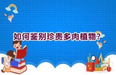 如何鉴别珍贵多肉植物？