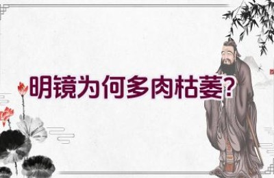 明镜为何多肉枯萎？