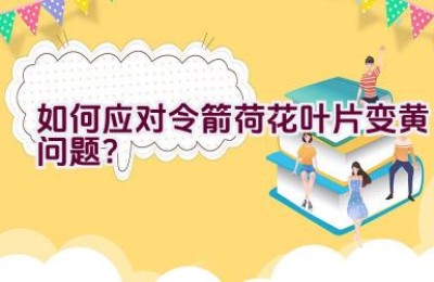 如何应对令箭荷花叶片变黄问题？