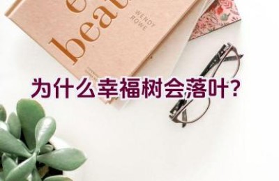为什么幸福树会落叶？