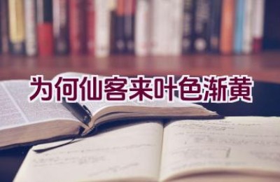 为何仙客来叶色渐黄