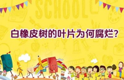 白橡皮树的叶片为何腐烂？