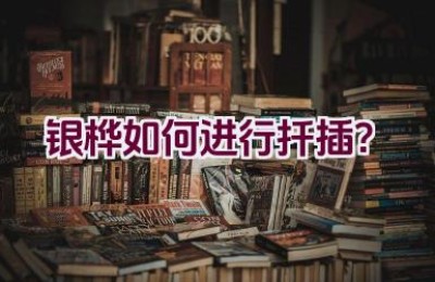 银桦如何进行扦插？