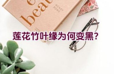 莲花竹叶缘为何变黑？