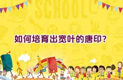 如何培育出宽叶的唐印？