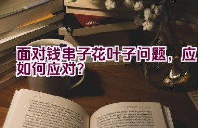 面对钱串子花叶子问题，应如何应对？