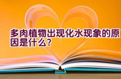 多肉植物出现化水现象的原因是什么？