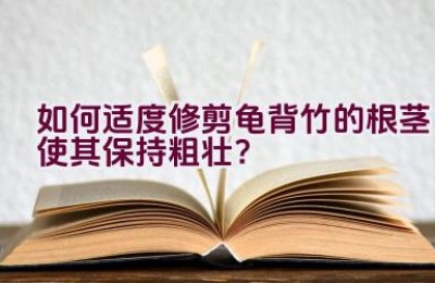 如何适度修剪龟背竹的根茎使其保持粗壮？