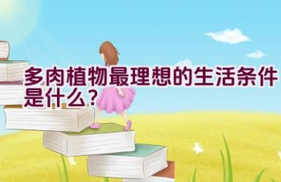 多肉植物最理想的生活条件是什么？