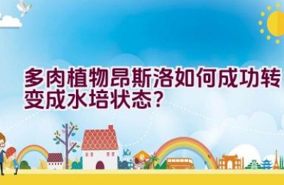 多肉植物昂斯洛如何成功转变成水培状态？