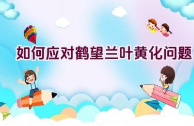 如何应对鹤望兰叶黄化问题