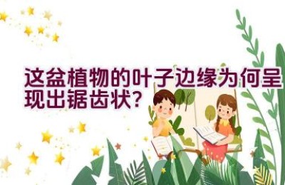 这盆植物的叶子边缘为何呈现出锯齿状？