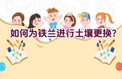 如何为铁兰进行土壤更换？