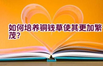 如何培养铜钱草使其更加繁茂？