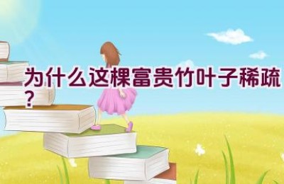 为什么这棵富贵竹叶子稀疏？