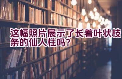 这幅照片展示了长着叶状枝条的仙人柱吗？