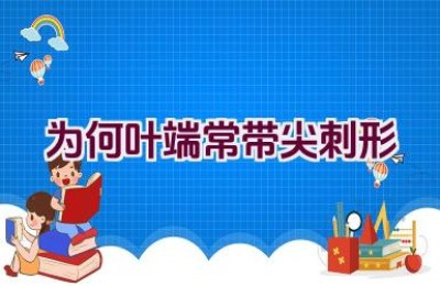 为何叶端常带尖刺形