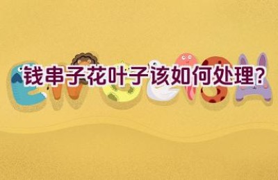 钱串子花叶子该如何处理？