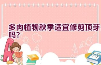 多肉植物秋季适宜修剪顶芽吗？