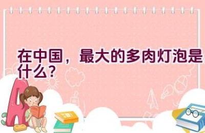 在中国，最大的多肉灯泡是什么？