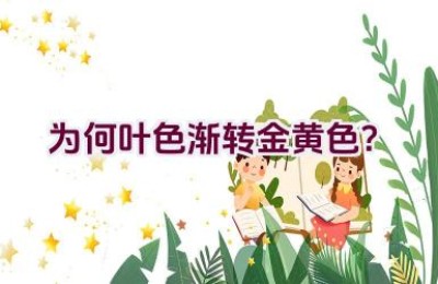 为何叶色渐转金黄色？