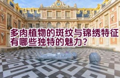 多肉植物的斑纹与锦绣特征有哪些独特的魅力？