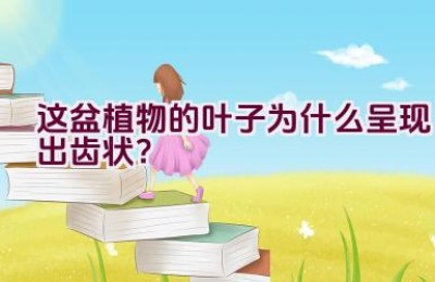 这盆植物的叶子为什么呈现出齿状？