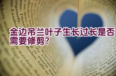 金边吊兰叶子生长过长是否需要修剪？