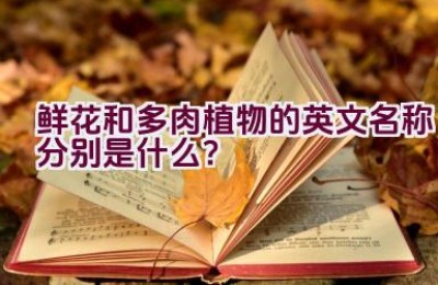 鲜花和多肉植物的英文名称分别是什么？