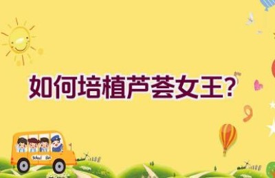 如何培植芦荟女王？