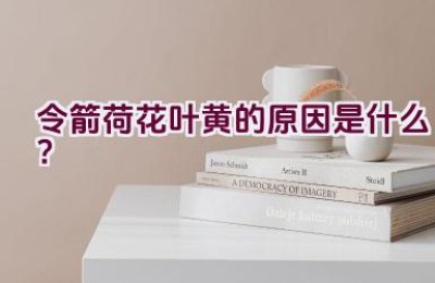 令箭荷花叶黄的原因是什么？