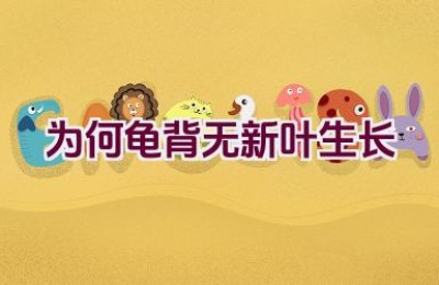 为何龟背无新叶生长