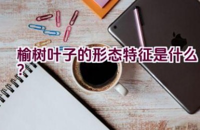 榆树叶子的形态特征是什么？