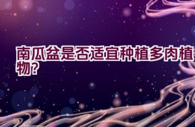 南瓜盆是否适宜种植多肉植物？