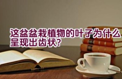 这盆盆栽植物的叶子为什么呈现出齿状？