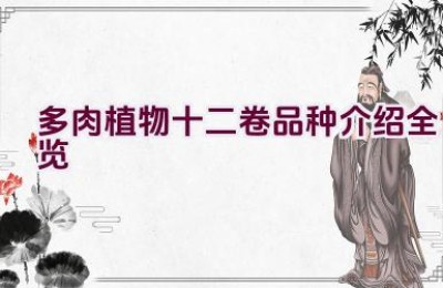 多肉植物十二卷品种介绍全览