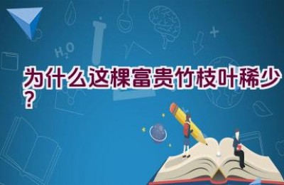 为什么这棵富贵竹枝叶稀少？
