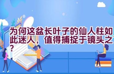 为何这盆长叶子的仙人柱如此迷人，值得捕捉于镜头之下？