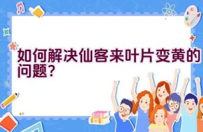 如何解决仙客来叶片变黄的问题？