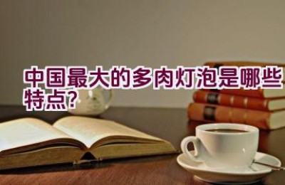 中国最大的多肉灯泡是哪些特点？
