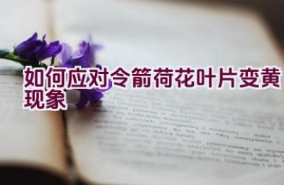 如何应对令箭荷花叶片变黄现象