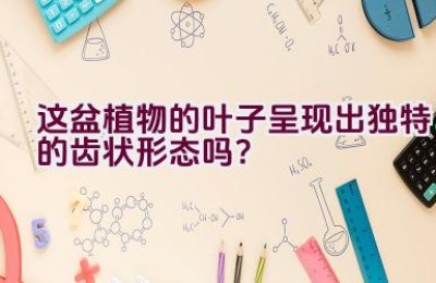 这盆植物的叶子呈现出独特的齿状形态吗？