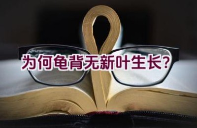 为何龟背无新叶生长？
