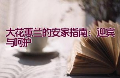大花蕙兰的安家指南：迎宾与呵护