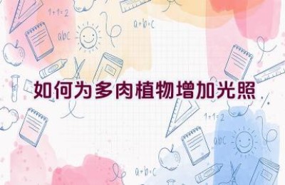 如何为多肉植物增加光照
