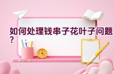 如何处理钱串子花叶子问题？