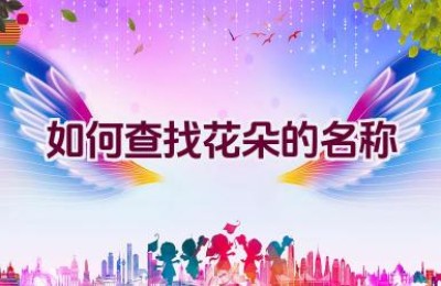 如何查找花朵的名称
