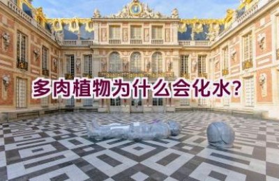多肉植物为什么会化水？