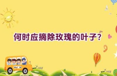 何时应摘除玫瑰的叶子？