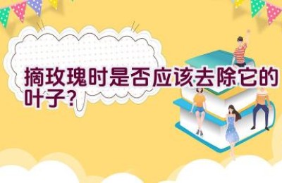 摘玫瑰时是否应该去除它的叶子？